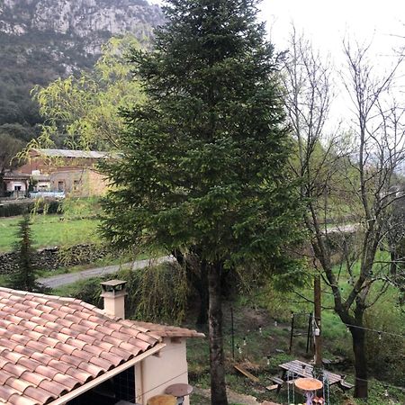 Auberge De La Vallee Saint-Jean-de-Buèges Екстериор снимка